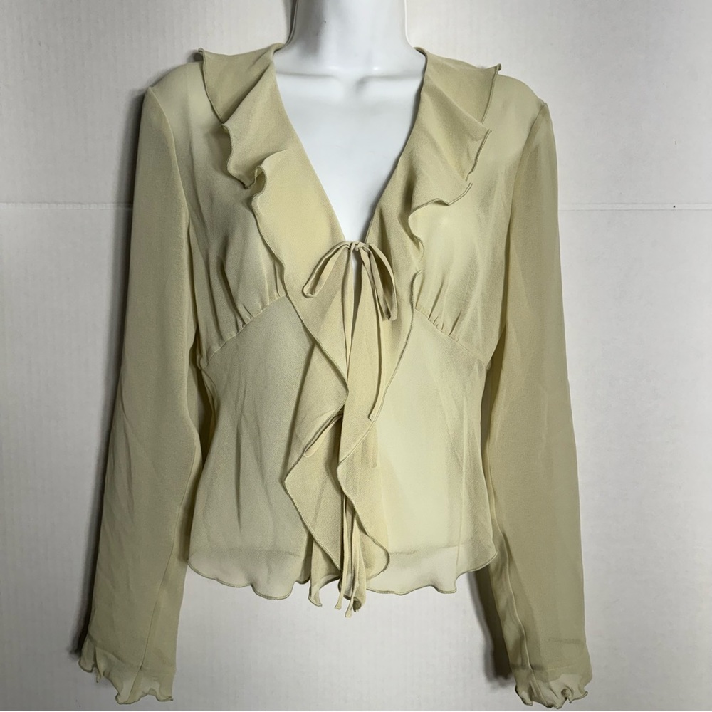 V-Neck Chiffon Ruffle Blosuse - Picture 3 of 8